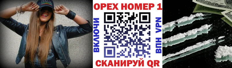 Купить закладки  Сертолово  Cocaine Эквадор 