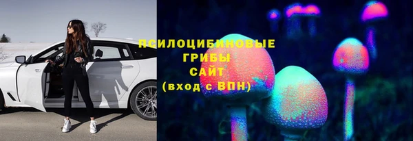 твердый Зеленодольск