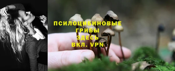 дурь Зерноград