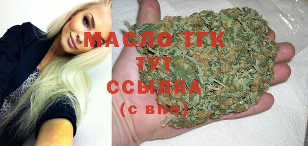твердый Зеленодольск