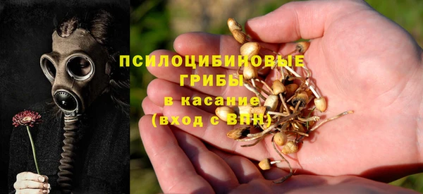 дурь Зерноград