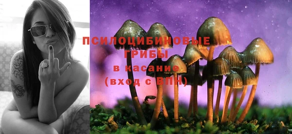 мяу мяу мука Зеленокумск