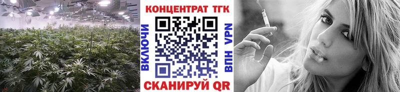 Купить закладки  Сертолово  Дистиллят ТГК гашишное масло 