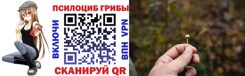 Купить  Сертолово  Галлюциногенные грибы мухоморы 
